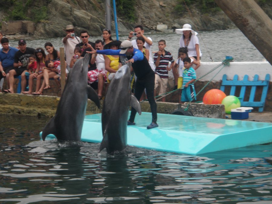 Recorre el Acuario, Museo del Mar del Rodadero y visita playa Blanca djmedia:61