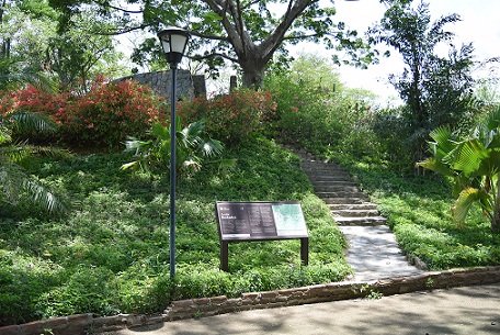 Quinta de San Pedro Alejandrino, la historia de un continente en 25 hectáreas djmedia:63