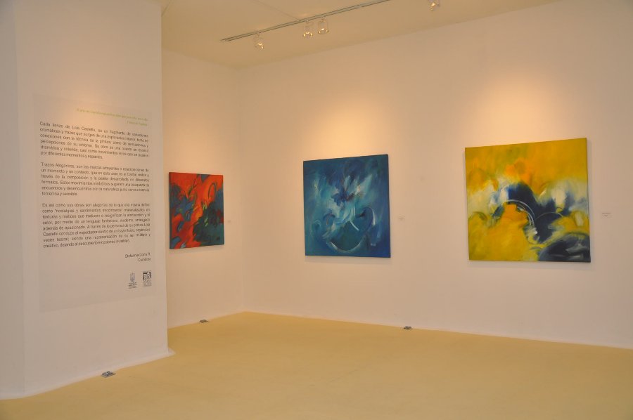 Museo Bolivariano de arte Contemporáneo djmedia:64