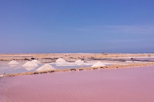 ¿Cómo llegar a Salinas de Manaure?  Las Salinas quedan en Manaure, ubicadas a 63 km al nororiente de Riohacha. Al lugar se llega por vía terrestre y sus paisajes son un contraste de tierras desérticas y zonas inundadas por pequeños charcos de agua.  Para llegar a Salinas de Manaure, se recomienda tomar un tour con expertos en esta actividad que provean una experiencia gratificante y segura   Como parte del territorio Wayúu, las Salinas de Manaure tienen una gran importancia para la historia cultural del país, pues allí se albergan tradiciones centenarias.  Precios  Hay paquetes turísticos desde $295.000 por persona para salir desde Santa Marta y poder conocer este magnífico lugar durante dos días y dos noches. Este plan incluye: Transporte ida y retorno, alimentación completa, hospedaje en Hamaca (Habitación privada opcional), visitas a todos los destinos programados en el itinerario, servicio de guianza y seguro de viajes.   En el horizonte se pueden observar las enormes montañas de sal. Manaure cuenta con salida al Caribe y en ciertos momentos del año recibe la colorida visita de los flamencos rosados.  Le puede interesar: Manantial Cañaverales, un oasis en el desierto   Lugares a visitar  Uribia, Desierto de La Ahuyama, San Martín o Puerto Bolívar, Cabo de La Vela, Pilón de Azúcar y El Faro, que es el lugar indicado para observar un maravilloso atardecer.   El avistamiento de flamencos en canoa por la Laguna Navio Quebrao también es una aventura en la que se podrá observar de cerca la majestuosidad de estas aves.  El Recorrido de la sal  El lugar cuenta con guías, capacitados por el Sena, que explican el proceso de bombear cerca de 70.000 galones de agua marina por minuto, hasta el depósito de salmuera donde se intensifica el grado de salinidad.   EL DATO  En el trayecto hacia el Cabo de la Vela, lo ideal será dedicar unos minutos para observar las imponentes montañas de sal en Maure; las fuertes olas que golpean contra las rocas sumadas a la luz forman pequeños y fugaces arcoíris en la playa    Ubicación  Manaure es un municipio del departamento colombiano de La Guajira, reconocido principalmente por tener las salinas marítimas más importantes del país. Limita al norte con el Mar                   Caribe, al nororiente con el municipio de Uribia, al sur con el municipio de Maicao y al occidente con el municipio de Riohacha    Leer también: Recorrido por el Centro Histórico  Las atracciones más populares para visitar en Manaure son:  Salinas de Manaure Kite Addict Riohacha  Minas de sal De Manaure