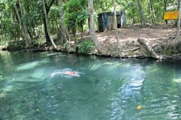 El Manantial de Cañaverales corresponde a un ecosistema de bosque seco tropical, cuya particularidad radica en la presencia de un afloramiento de aguas subterráneas de las que puede abastecerse el ser humano.