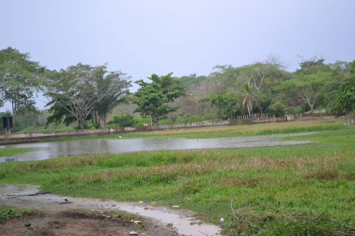 Parque Ecológico Villa Palmera.