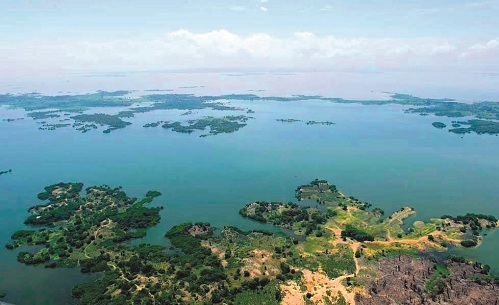 Ciénaga de Zapatosa, recientemente incluida en la lista internacional de humedales Ramsar, gracias a su importancia y biodiversidad. (Foto: Alcaldía de El Banco)