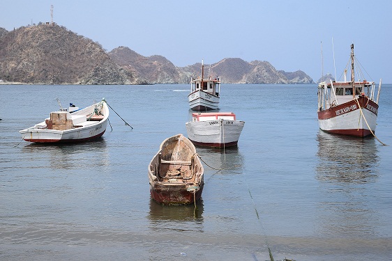 Fiestas del Mar y Festival del Cine al Mar