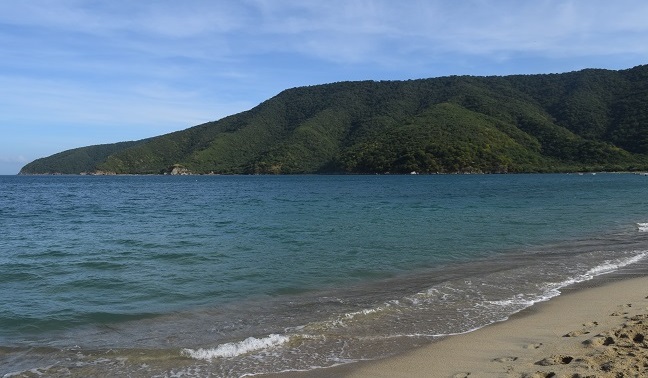 Vista panorámica de Bahía Concha