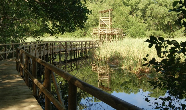 Vía Parque Isla de Salamanca