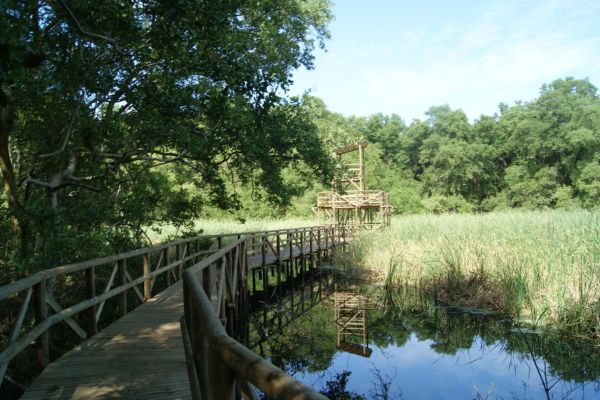 Una aventura en la Vía Parque Isla de Salamanca