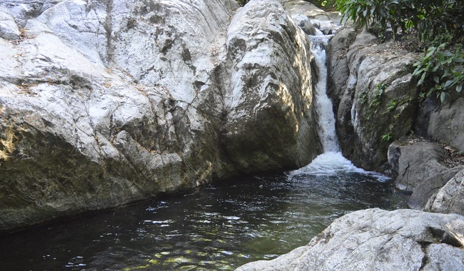 El olor a humedad formado por la frescura que emanan las plantas y la tierra mojada se respira como un antídoto desintoxicante de los afanes del día a día. La reserva es una opción ideal para quienes quieran descansar y desconectarse del ruido de las grandes urbes.