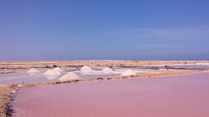 ¿Cómo llegar a Salinas de Manaure?  Las Salinas quedan en Manaure, ubicadas a 63 km al nororiente de Riohacha. Al lugar se llega por vía terrestre y sus paisajes son un contraste de tierras desérticas y zonas inundadas por pequeños charcos de agua.  Para llegar a Salinas de Manaure, se recomienda tomar un tour con expertos en esta actividad que provean una experiencia gratificante y segura   Como parte del territorio Wayúu, las Salinas de Manaure tienen una gran importancia para la historia cultural del país, pues allí se albergan tradiciones centenarias.  Precios  Hay paquetes turísticos desde $295.000 por persona para salir desde Santa Marta y poder conocer este magnífico lugar durante dos días y dos noches. Este plan incluye: Transporte ida y retorno, alimentación completa, hospedaje en Hamaca (Habitación privada opcional), visitas a todos los destinos programados en el itinerario, servicio de guianza y seguro de viajes.   En el horizonte se pueden observar las enormes montañas de sal. Manaure cuenta con salida al Caribe y en ciertos momentos del año recibe la colorida visita de los flamencos rosados.  Le puede interesar: Manantial Cañaverales, un oasis en el desierto   Lugares a visitar  Uribia, Desierto de La Ahuyama, San Martín o Puerto Bolívar, Cabo de La Vela, Pilón de Azúcar y El Faro, que es el lugar indicado para observar un maravilloso atardecer.   El avistamiento de flamencos en canoa por la Laguna Navio Quebrao también es una aventura en la que se podrá observar de cerca la majestuosidad de estas aves.  El Recorrido de la sal  El lugar cuenta con guías, capacitados por el Sena, que explican el proceso de bombear cerca de 70.000 galones de agua marina por minuto, hasta el depósito de salmuera donde se intensifica el grado de salinidad.   EL DATO  En el trayecto hacia el Cabo de la Vela, lo ideal será dedicar unos minutos para observar las imponentes montañas de sal en Maure; las fuertes olas que golpean contra las rocas sumadas a la luz forman pequeños y fugaces arcoíris en la playa    Ubicación  Manaure es un municipio del departamento colombiano de La Guajira, reconocido principalmente por tener las salinas marítimas más importantes del país. Limita al norte con el Mar                   Caribe, al nororiente con el municipio de Uribia, al sur con el municipio de Maicao y al occidente con el municipio de Riohacha    Leer también: Recorrido por el Centro Histórico  Las atracciones más populares para visitar en Manaure son:  Salinas de Manaure Kite Addict Riohacha  Minas de sal De Manaure