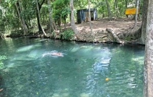 El Manantial de Cañaverales corresponde a un ecosistema de bosque seco tropical, cuya particularidad radica en la presencia de un afloramiento de aguas subterráneas de las que puede abastecerse el ser humano.